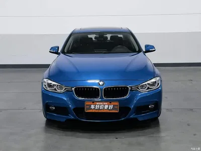 2019 BMW 3 Series 320Li M Sport Package, фото 3, лот 11193767