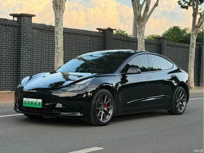 2023 Tesla Model 3 Rear-Wheel Drive, фото 3, лот 10368742