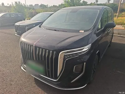 2024 Hongqi HQ9 PHEV Model 2.0T AWD Business Edition, фото 1, лот 10289867
