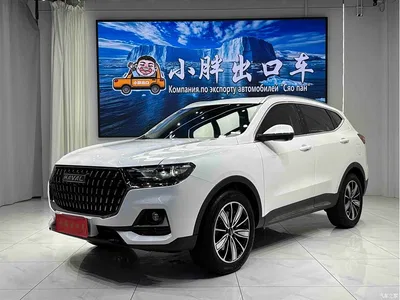 2023 Haval H6 National Trend Edition 1.5T Automatic Champion, фото 1, лот 11554334
