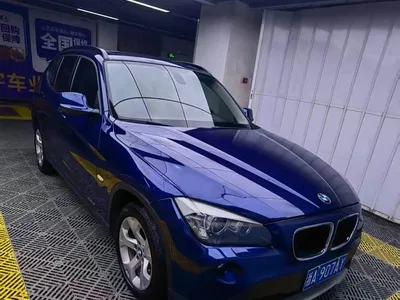 2010 BMW X1 (Import) sDrive18i Luxury Model, фото 2, лот 10481438