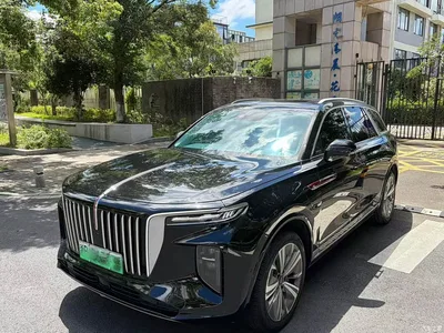 2021 Hongqi E-HS9 460km Flagship Comfort 6-seater, фото 1, лот 10288845