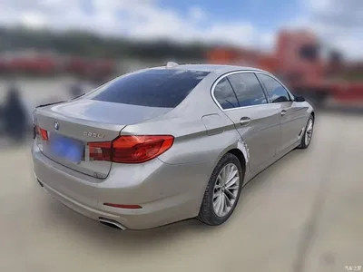 2018 BMW 5 Series 525Li Luxury Package, фото 4, лот 11412312