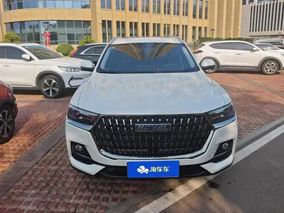 2023 Haval H6 National Trend Edition 1.5T Automatic Urban, фото 2, лот 10886990