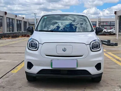 2023 Leapmotor T03 310 Light Edition, фото 2, лот 10317406