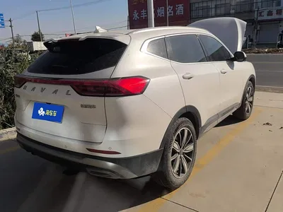2023 Haval H6 National Trend Edition 1.5T Automatic Champion, фото 3, лот 11548001