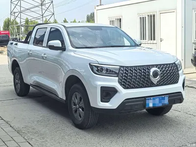 2023 Great Wall Pao 2.0T Commercial Auto Gasoline 2WD Elite Long Box GW4C20B, фото 4, лот 10408016