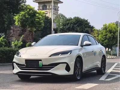 2024 BYD Seal 06 New Energy DM-i 80KM Luxury, фото 1, лот 10275756
