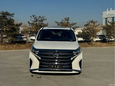 2021 GAC Trumpchi Trumpchi M8 Leading Show Series 390T Ultimate Edition, фото 2, лот 10416307