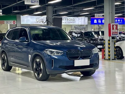 2021 BMW iX3 Facelift Pioneer, фото 3, лот 10475065