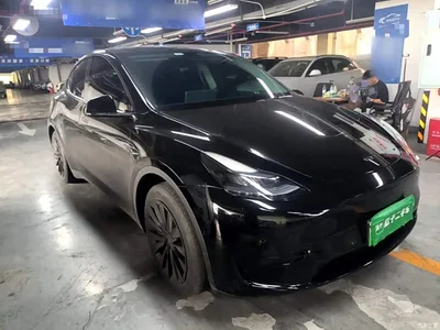 2023 Tesla Model Y Rear-Wheel Drive Edition, фото 4, лот 10370235