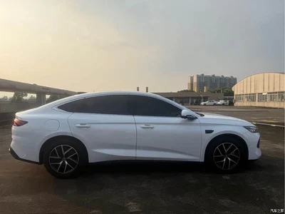 2025 BYD Qin L DM-i Smart Drive Edition 120KM Surpassing, фото 4, лот 10517441