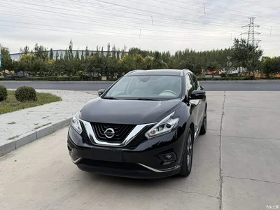 2019 Nissan Murano 2.5 S/C HEV XE 4WD Hybrid Smart Connect Premium Edition (China VI), фото 2, лот 11568690
