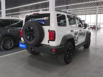 2021 Tank 300 Off-road Version 2.0T Conqueror, фото 3, лот 11137265