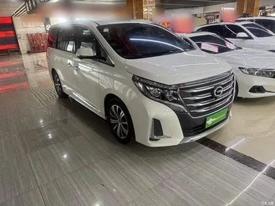 2020 GAC Trumpchi Trumpchi M8 Pilot 390T Ultimate Edition, фото 4, лот 10424624