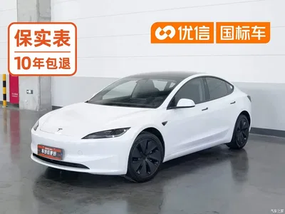 2025 Tesla Model 3 Model Year Facelift Rear-Wheel Drive, фото 1, лот 10306439