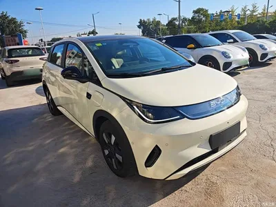 2025 BYD Dolphin Smart Drive Edition 410km Fashion Version, фото 4, лот 11580496