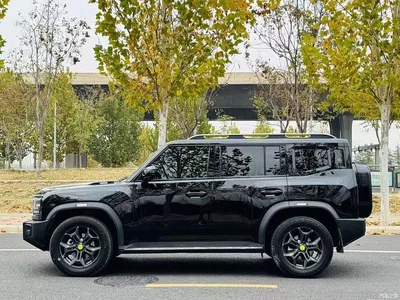 2024 Jetour Traveler 2.0T 4WD Cross PRO+ Entertainment Edition, фото 3, лот 11584844