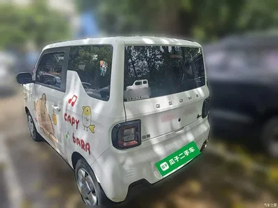 2023 Geely Galaxy Panda Mini 200km Endurance Bear, фото 4, лот 10430564