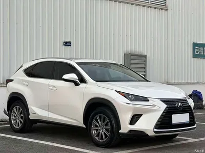 2017 Lexus NX 300h FWD Sharp Style Edition, фото 1, лот 10317360