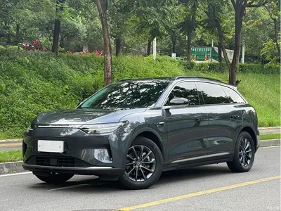 2023 Leapmotor C11 Pure Electric 500 Smart Edition, фото 1, лот 10314360