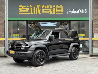 2024 Tank 300 Model 2.0T Challenger, фото 1, лот 10404431