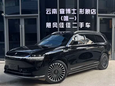 2024 AITO Wenjie AITO M9 Range Extender Max 52kWh 6-seater, фото 1, лот 10277366