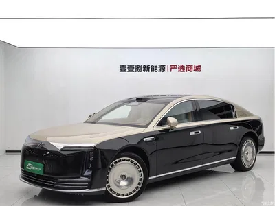 2025 Zunjie S800 Range Extender Starlight Executive 4-Seater, фото 1, лот 10416913