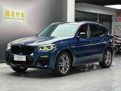 2018 BMW X3 xDrive25i M Sport Package China V, фото 1, лот 10420555