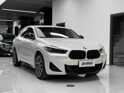 2021 BMW X2 xDrive25i M Sport Package, фото 4, лот 10391724