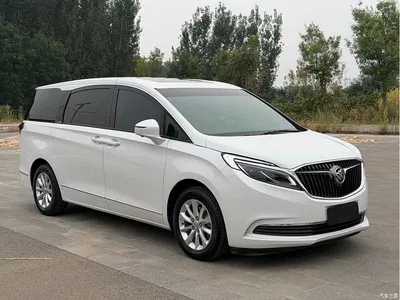 2018 Buick GL8 ES 28T Premium Type China VI, фото 3, лот 10888153