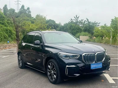 2023 BMW X5 xDrive 30Li Premium M Sport Package, фото 3, лот 10577167