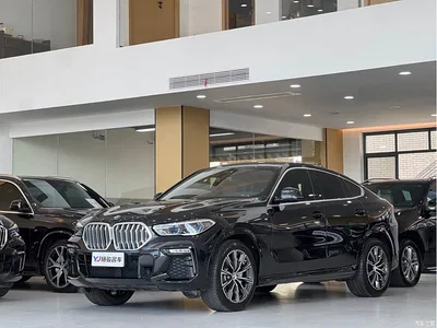 2021 BMW X6 xDrive40i M Sport Package, фото 1, лот 10469362