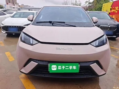 2023 BYD Seagull Freedom Edition, фото 3, лот 10262955