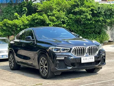 2020 BMW X6 xDrive40i M Sport Package, фото 3, лот 10421236