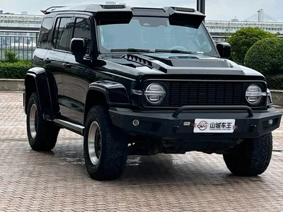 2024 Tank 300 2.0T Explorer, фото 3, лот 11087477