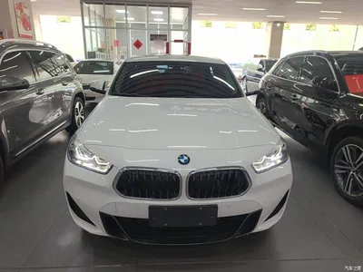 2022 BMW X2 sDrive25i M Sport Package, фото 3, лот 10475504