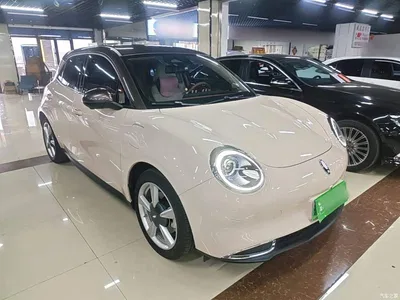 2021 Ora Good Cat 400km Standard Range Official Version (LFP), фото 4, лот 10386885