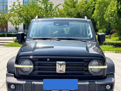2021 Tank 300 Off-road Version 2.0T Conqueror, фото 2, лот 10769168