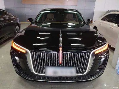 2020 Hongqi H9 2.0T Smart Connection Qi Xiang Edition, фото 3, лот 10289759