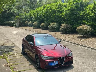 2017 Alfa Romeo Giulia 2.0T 280HP Luxury Edition, фото 1, лот 10240302