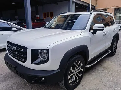 2021 Haval Big Dog 1.5T DCT 2WD Malinois - Wangcai Edition, фото 1, лот 11193290
