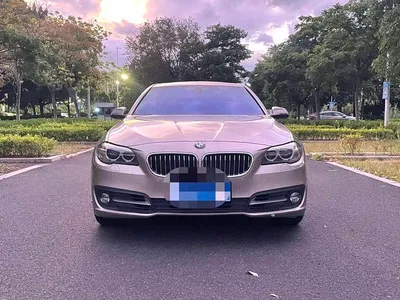 2014 BMW 5 Series 520Li Elegance, фото 2, лот 11539750