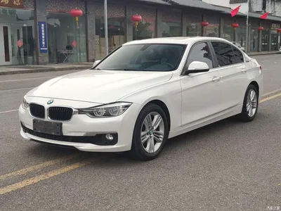 2017 BMW 3 Series 320Li Fashion, фото 1, лот 10808300