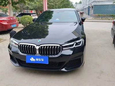 2023 BMW 5 Series 530Li Leading M Sport Package, фото 2, лот 11200534