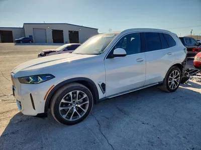 2024 BMW X5 XDRIVE40I, фото 1, лот 10818419
