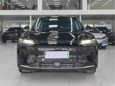 2021 Leapmotor C11 Facelift Luxury Edition, фото 2, лот 10684786