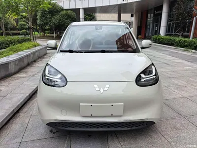 2023 Wuling Motors Wuling Bingo 203km Comfort Version, фото 1, лот 10367761