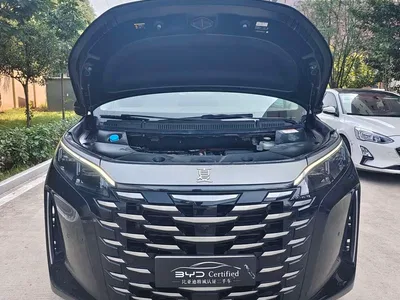 2025 BYD Xia DM-i 1.5T 180km Excellence, фото 2, лот 10248489