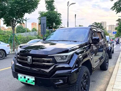 2024 Tank 400 New Energy Hi4-T Off-Road Edition, фото 1, лот 10394858